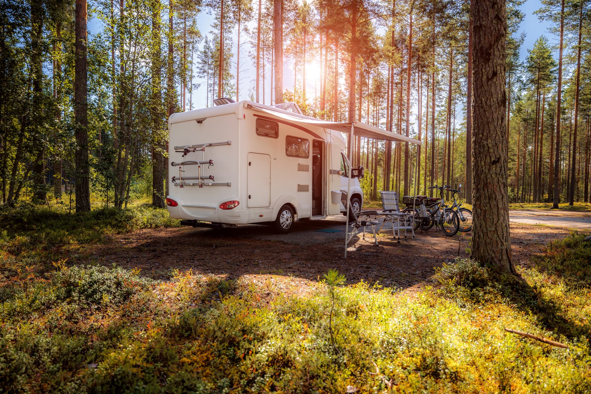 Vit husbil uppställd i solig tallskog med cyklar och campingstolar